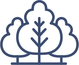 Simple line drawing of three stylized trees, with one large tree in the center and two smaller trees on either side, all outlined in dark blue—perfect for illustrating Cairnview Windows and Doors’ commitment to quality uPVC windows Perth.